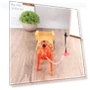 Robot Horse Toy — Interactive Animal Companions, Fairy Expounds