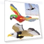 Flying Eagle Electric Toy Parrot — Playsets, AI Supermarket
