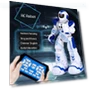 Intelligent RC Robot — Interactive Figures & Robots, weike