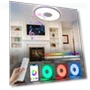 RGB Bluetooth Music Ceiling Light — Overhead Lighting, Trend CCC