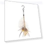 Smart Bird Feeder — Backyard Birding, Excellent stuff