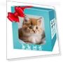 Realistic Robot Cat — Cameras & Monitors, Happy Camp