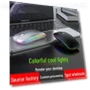 Silent Bluetooth 5.0 Dual-Mode Glowing Wireless Mouse — Mouse Pads, AI Supermarket