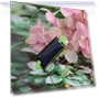 Solar Powered Insect Robot — Solar Power, Linmeng