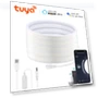 WiFi LED Neon Strip — LED Strips, Tuya