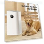 Smart Air Purifier — Activated Carbon Air Purifiers, OFFICE-MALL