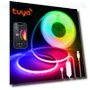 Smart WiFi RGB COB LED Strip — LED Strips, HOME-Auto-001
