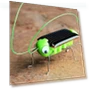 Solar-Powered Educational Robot Toy — Solar Power, Ice Beauty