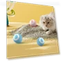 Automatic Rolling Ball Cat Toy — Cat Playthings, Winnerer Sun