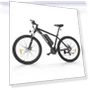 Electric Bike — E-Bikes, Foride