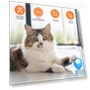 Intelligent pet cat toy ball — Cat Playthings