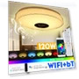 Modern RGB LED Ceiling Light — Overhead Lighting, Crown Global