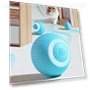 Self-moving Kitten Automatic Rolling Ball — Balls, lijianzcx4