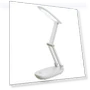 Adjustable Brightness LED Reading Light — Book Lights, Actually lighting