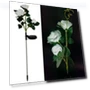 LED Rose Flower Lamp — Outdoor String Lights, Smart Mouse