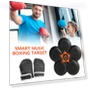 Smart Musical Boxing Target — Boxing Training Gear, Binchi Keji Travel