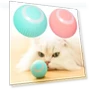 Automatic Rolling Smart Interactive Toy for Cats — Cat Playthings, lijiansa22