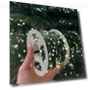 Christmas Garland with Remote Control — String Lights, VITA Dogdog Smartwear