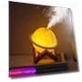 Mini USB Air Humidifier with Planet — Diffusers, Essager Electronic