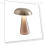 Mushroom Wireless USB Rechargeable Touch Switch — USB Lighting Solutions, Zhou Yajin