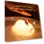 Rabbit Night Light with Timer — Lamps & Shades, Factory Discount Outlet