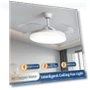 Smart Ceiling Fan with Adjustable Speed and Lighting — Ceiling Fans, Sea Global