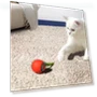 Interactive Cat Toy Rolling Ball — Balls, All in Watch