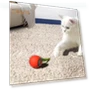 Interactive Cat Toy with Smart Rolling Ball — Cat Playthings, Vogue Wardrobe
