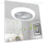 LED Ceiling Fan with Smart Remote Control — Ceiling Fans, Good Household Items