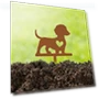Smart Garden Peg for Dogs — Garden Stakes, CIFbuy