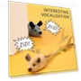 Smart Running Mouse Toy for Cats — Mice & Animals, Happy Home Mall