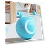 Electric Ball Pet Toy — Cat Playthings, boy