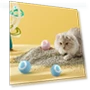 Interactive Cat Ball — Cat Playthings, Homeware Essentials