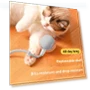 Interactive Cat Toy Ball — Cat Playthings, Love Pet House