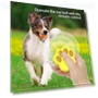 Interactive Smart Ball for Pets — Balls, Super Star Mall