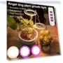 LED Grow Light Angel Ring — Growing Lamps, Elegant Living House