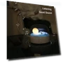 LED Night Light with Touch Control and Bluetooth Speaker — Night Lights, Elegant Living House