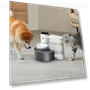 Smart Pet Water Fountain — Fountains, All in Watch