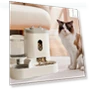 Automatic Pet Food Dispenser — Automatic Feeders, Build My Home