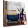 Bluetooth Speaker with Wireless Charging — Portable Audio, Good Household Items