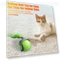 Interactive Cat Ball — Cat Playthings, anruifu