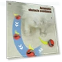 Interactive Cat Ball — Cat Playthings, Love Pet House