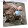 Interactive Cat Ball — Cat Playthings, fuhushhs