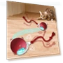 Interactive Cat Toy Ball — Cat Playthings, Sihuasheng