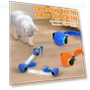 Interactive Pet Toy Ball — Cat Playthings, anruifu