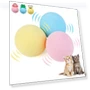 Smart Cat Toy — Cat Playthings, Global Cozy Life