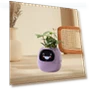 Smart Pet Pot — Nursery Pots, HappyToy
