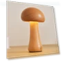 USB Mushroom Night Light with Adjustable Brightness — Night Lights, YC Direct