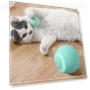 Electric Exercise Chase Ball — Cat Playthings, Sock