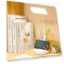 LED Desk Lamp with Touch Control — Study & Desk Lighting, Factory Discount Outlet